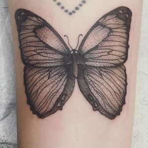 Meet your Posher, Payton